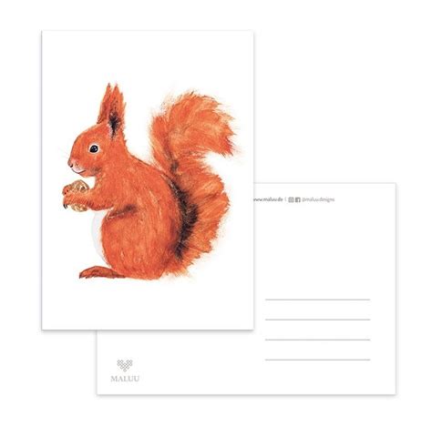 Postkarte Karte Eichh Rnchen Squirrel Din A By Maluu