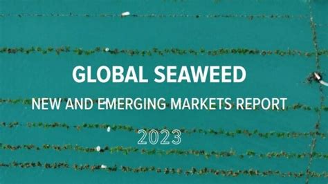 New Farmed Seaweed Markets Could Reach Billion By Myanmar