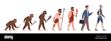 Man Evolution Human Ancestor Step By Step Development Gradual