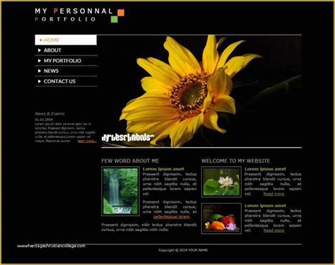 3d Flash Website Templates Free Download Of 8 Awesome Flash Website Templates ...