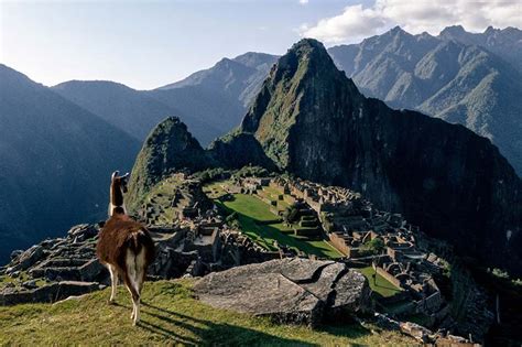 Machu Picchu 1 day tour | Machu Picchu Andean