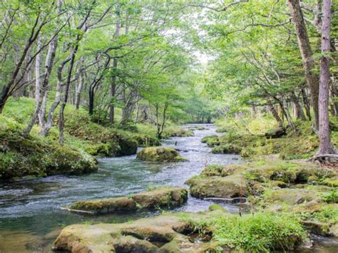 Nikko and Yumoto Onsen walking tour, Japan | Responsible Travel