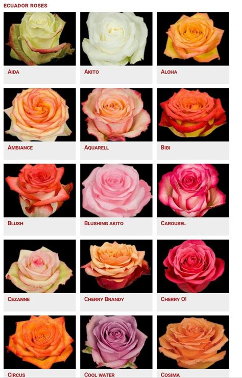 Rose Color Meanings Flower Meanings Flowers Bouquet Wedding Flowers