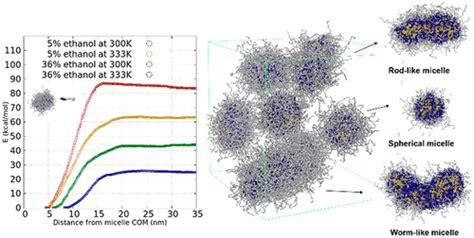 Coarse Grained Molecular Dynamics Simulations Of Paclitaxel Loaded