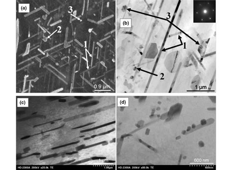 The Lath Shaped 1 Polygonal 2 And Plate Shaped 3 Of Mg 2 Sn