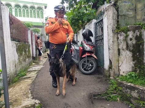 Kerahkan Anjing Pelacak Bpbd Temukan Titik Korban Longsor Gang Barjo