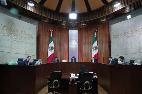 Tribunal Electoral Entregará Constancia De Mayoría A Amlo El 8 De