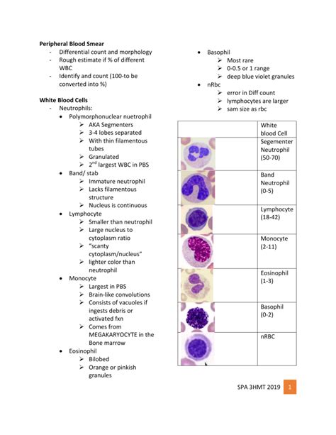 What Is A Manual Differential On A Cbc At Cynthia Perron Blog