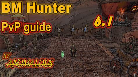 BM Hunter 6 2 PvP Guide Talents Glyphs Pets Macros Stat Priority