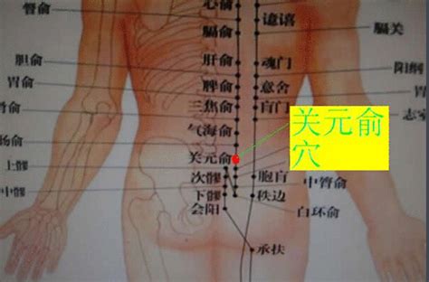 关元俞穴图册360百科