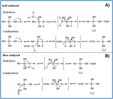 Schematic Representation Of The Hydrolysis And Condensation Mechanisms