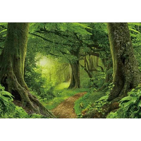 Spring Forest Backdrop Tropical Jungle Rainforest Backdrops For