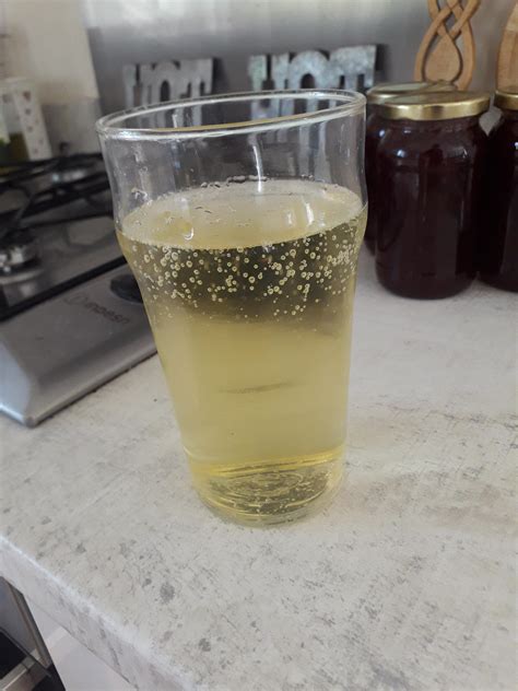 Sparkling Elderflower Session Mead Rmead