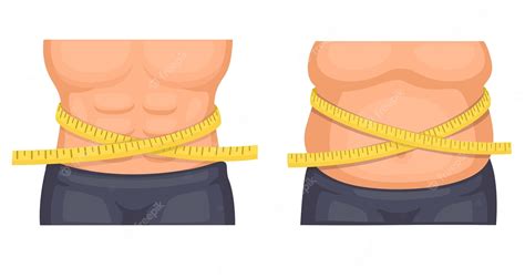 Vientre De Hombre En Forma Y Comparación De Grasa Con Vector De