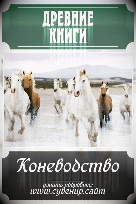 Древние книги Коневодство для букиниста l магазин Москва # ...