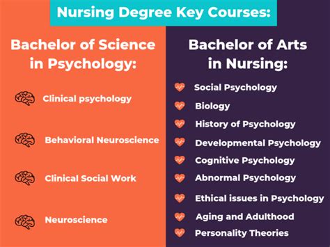 The 29 Best Online Schools for Bachelor’s in Psychology