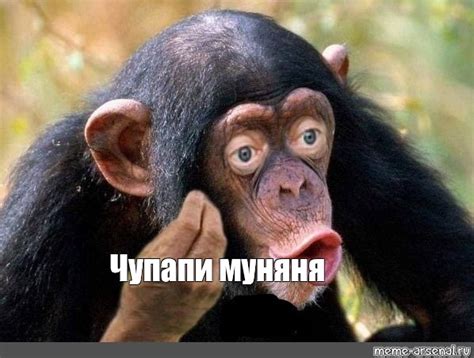 Meme: "Чупапи муняня" - All Templates - Meme-arsenal.com