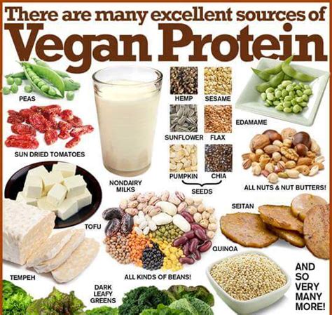 Veg Protein Sources – beingwell