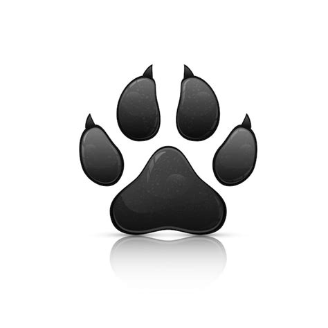 Panther Paw Vector