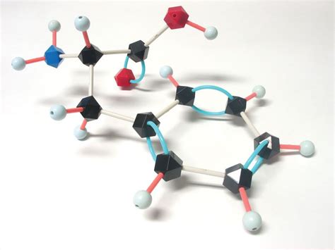 Phenylalanine | Amino Acid, Protein, Metabolism | Britannica