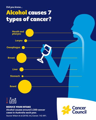 Alcohol Cancer Council Wa