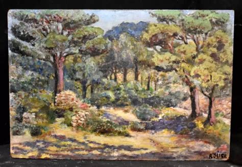 Tableau Ancien Huile Paysage De Provence Maquis Sign D But Xx Me Eur