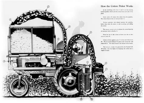 Cotton Picking Machine History Makeda Khan