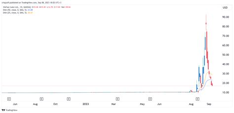 VinFast stock price forecast: AMTD Idea 2.0