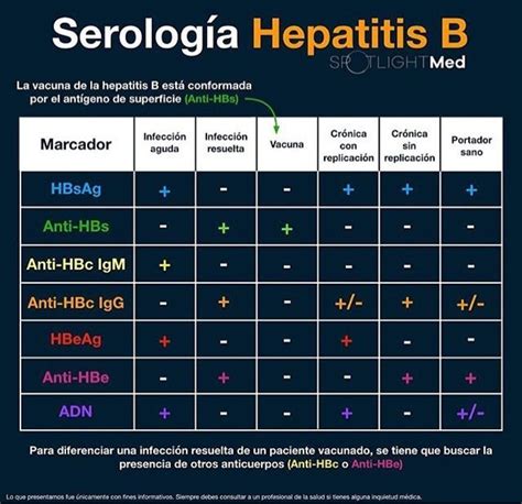 Marcadores Da Hepatite B Braincp