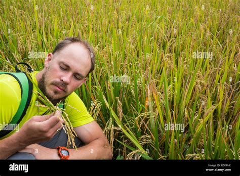 Portrait Happy Mature Older Man Is Smiling Old Senior Farmer With