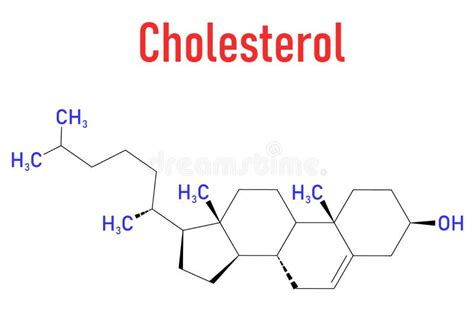 Cholesterol Molecule Skeletal Formula Cemical Structure Vector