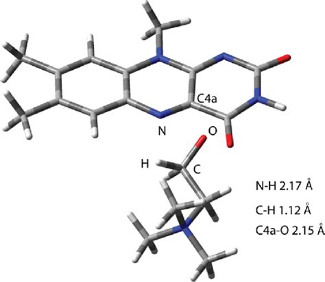 Structure Of Optimized Reactant Complex Rc Formed Between Fad And