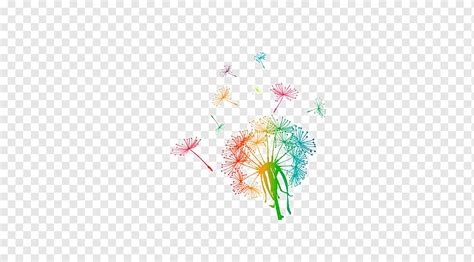 Common Dandelion Euclidean Graphy Colorful Dandelion Watercolor