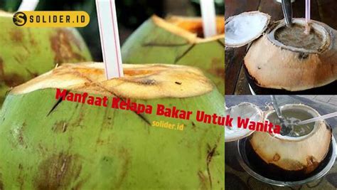 Temukan Manfaat Kelapa Bakar Untuk Wanita Yang Jarang Diketahui Solider