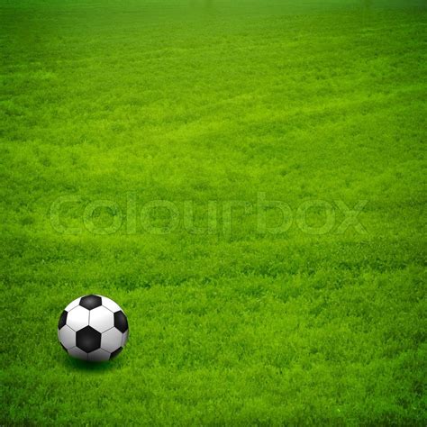 Fußball auf dem grünen Feld Stock Bild Colourbox