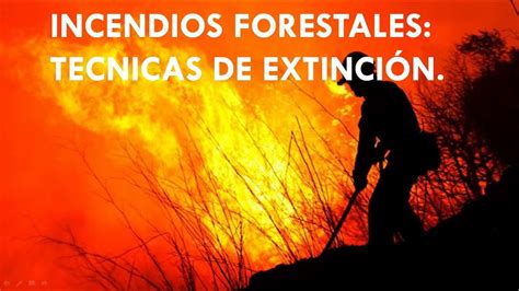 Tecnicas De Extincion En Los Incendios Forestales Sofocacion