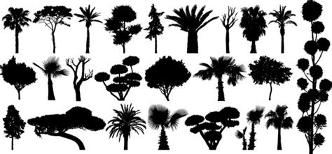 Shrubs Silhouette Vector Images Over 2900