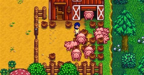 Animals (Farming) Guide in Stardew Valley | Best Animals