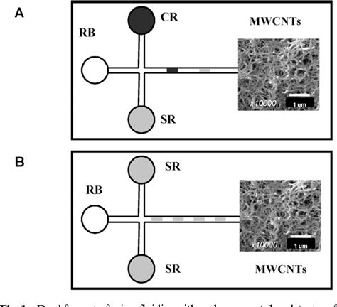 Figure From Towards Lab On A Chip Approaches In Real Analytical