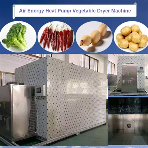 Factory Wholesale Pasta Onion Vegetables Drying Machine Food Cassava