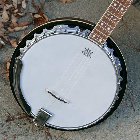 How To Identify Fender Banjo Model A Step By Step Guide