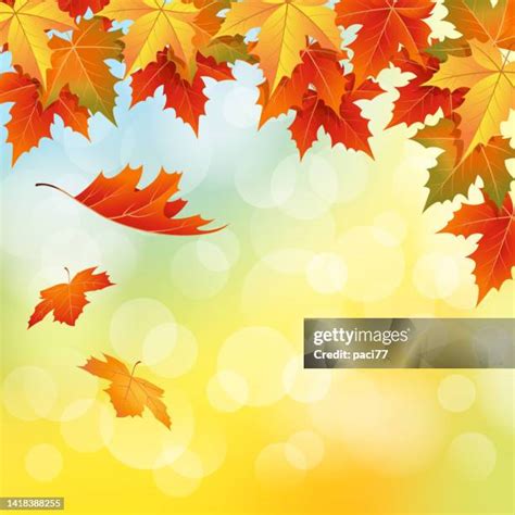 2856 Animated Falling Leaves Stock Photos High Res Pictures And