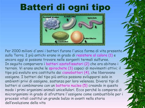 Ppt Levoluzione Della Vita Sulla Terra Powerpoint Presentation Free