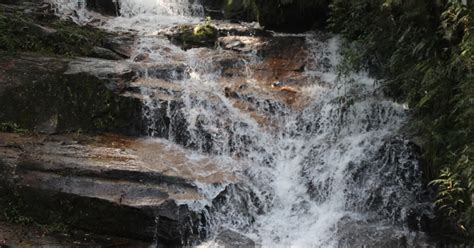 Trilhas E Viagens Morro Do Anhangava