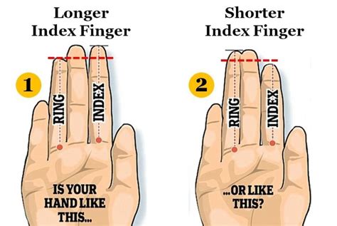 Personality Test: Your Finger Length Reveals Your Hidden Personality Traits