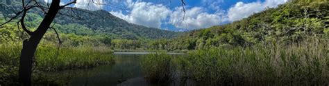 Il Lago Grande Riserva Naturale Oasi WWF Cratere Degli Astroni