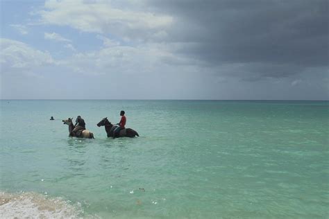 Tripadvisor Montego Bay Flughafentransfer nach Negril zur Verfügung