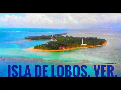 Introducir 49 Imagen Cuanto Cobran De Tuxpan A Isla Lobos Abzlocal Mx