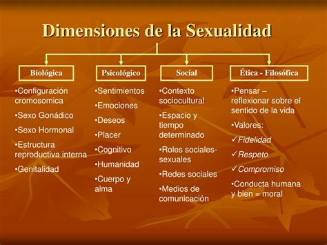 PPT SEXUALIDAD Y AFECTIVIDAD Sexualidad Responsable PowerPoint