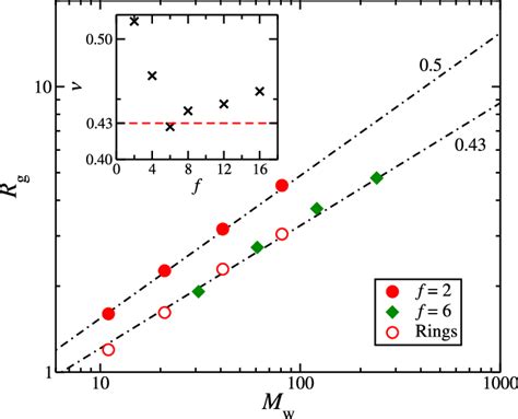 Radius Of Gyration R G As Function Of The Molecular Mass M W At T